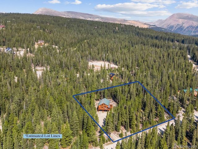 407 Puma Pl, Fairplay, CO 80440