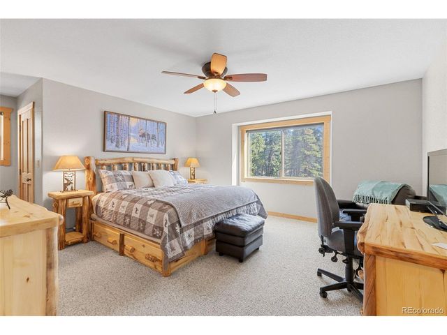 407 Puma Pl, Fairplay, CO 80440