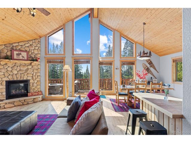 407 Puma Pl, Fairplay, CO 80440