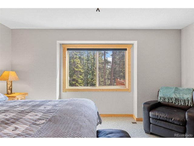 407 Puma Pl, Fairplay, CO 80440