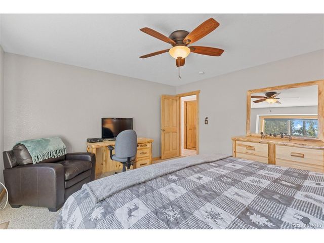 407 Puma Pl, Fairplay, CO 80440