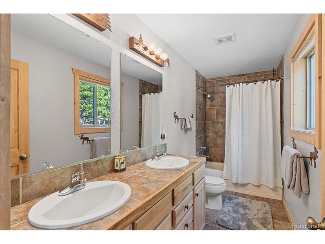 407 Puma Pl, Fairplay, CO 80440