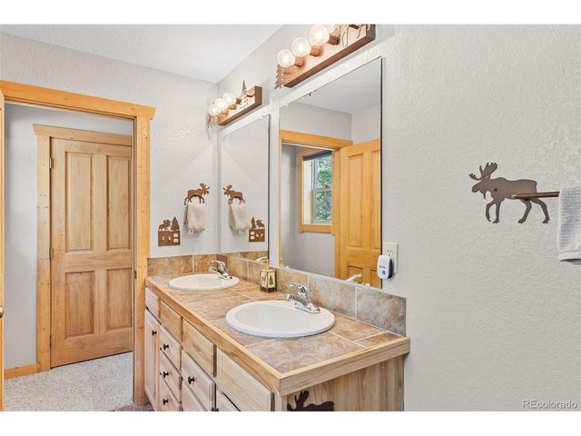 407 Puma Pl, Fairplay, CO 80440