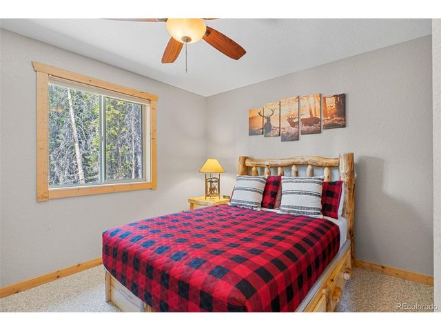 407 Puma Pl, Fairplay, CO 80440