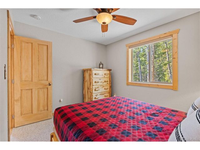 407 Puma Pl, Fairplay, CO 80440