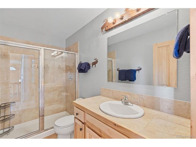 407 Puma Pl, Fairplay, CO 80440