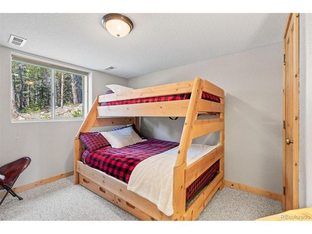 407 Puma Pl, Fairplay, CO 80440