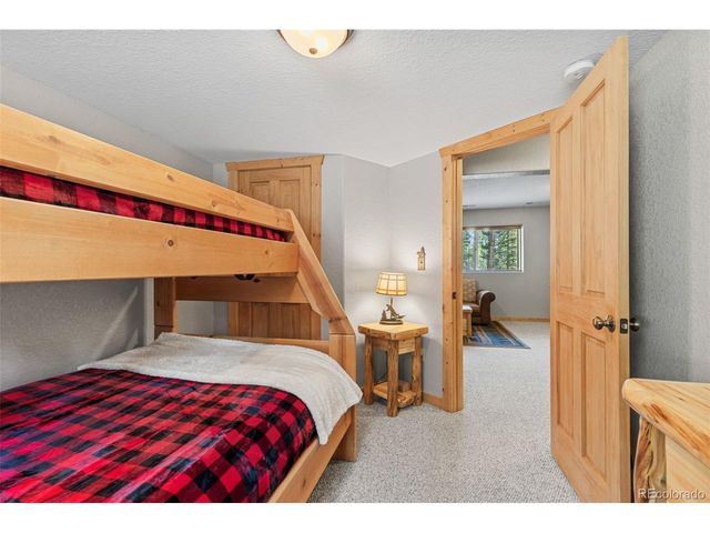 407 Puma Pl, Fairplay, CO 80440