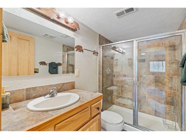 407 Puma Pl, Fairplay, CO 80440