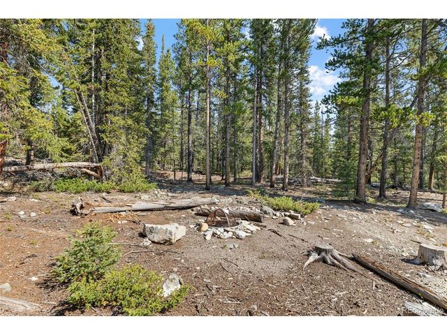 407 Puma Pl, Fairplay, CO 80440