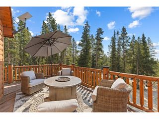 407 Puma Pl, Fairplay, CO 80440