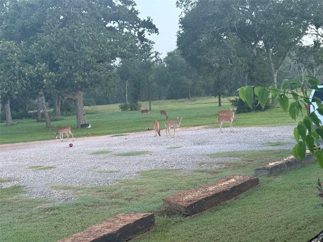 40934 Thomas Lane, Hempstead, TX 77445