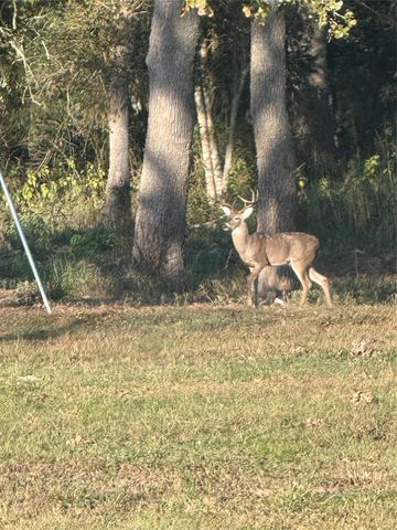 40934 Thomas Lane, Hempstead, TX 77445