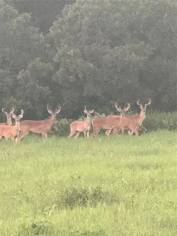 40934 Thomas Lane, Hempstead, TX 77445