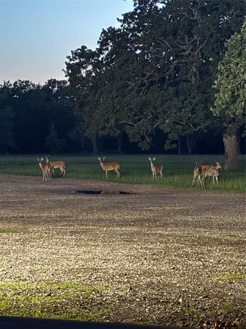 40934 Thomas Lane, Hempstead, TX 77445