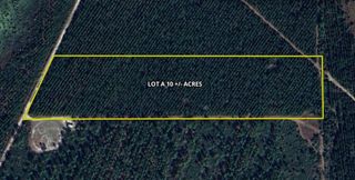 OFF LOUISE RD., Gainesville, FL 32609