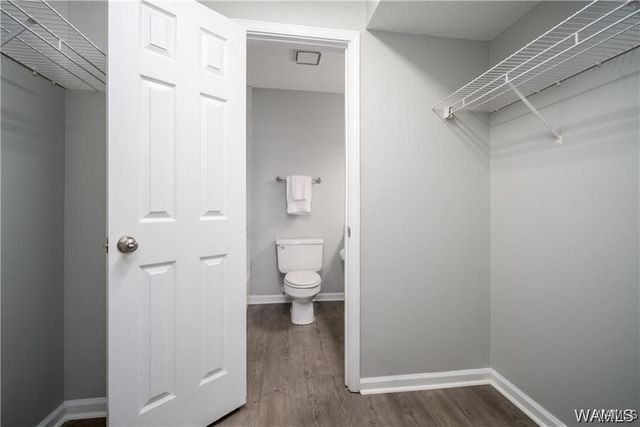 1721 Hackberry 6, Tuscaloosa, AL 35401