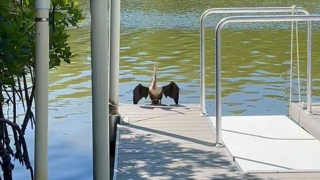 9397 MIDNIGHT PASS ROAD 901, Sarasota, FL 34242