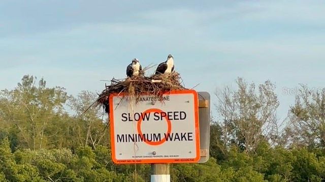 9397 MIDNIGHT PASS ROAD 901, Sarasota, FL 34242