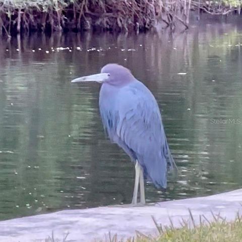 9397 MIDNIGHT PASS ROAD 901, Sarasota, FL 34242