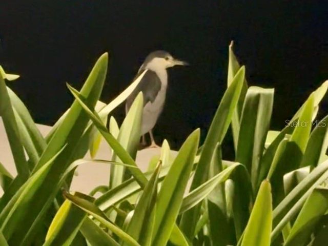 9397 MIDNIGHT PASS ROAD 901, Sarasota, FL 34242