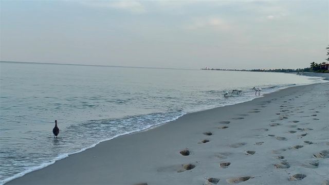 9397 MIDNIGHT PASS ROAD 901, Sarasota, FL 34242