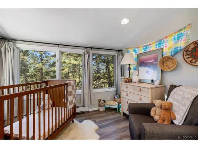 1150 Forest Hill Pl, Woodland Park, CO 80863