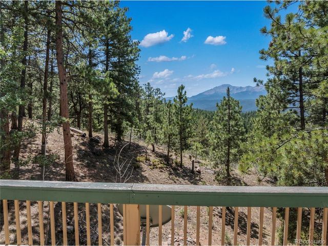 1150 Forest Hill Pl, Woodland Park, CO 80863