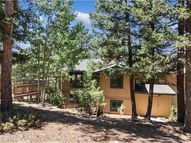 1150 Forest Hill Pl, Woodland Park, CO 80863