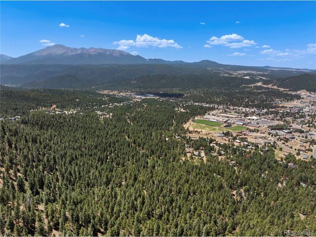 1150 Forest Hill Pl, Woodland Park, CO 80863