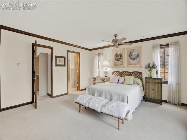 575 Silhouette Way, Monument, CO 80132