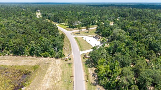15981 Four Hills Road, Willis, TX 77378