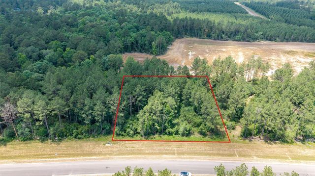 15981 Four Hills Road, Willis, TX 77378
