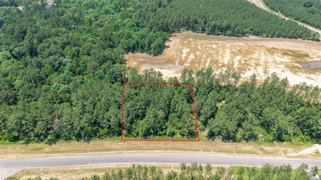 15981 Four Hills Road, Willis, TX 77378