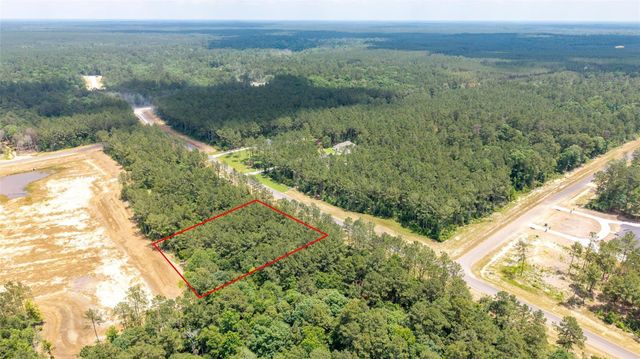 15981 Four Hills Road, Willis, TX 77378