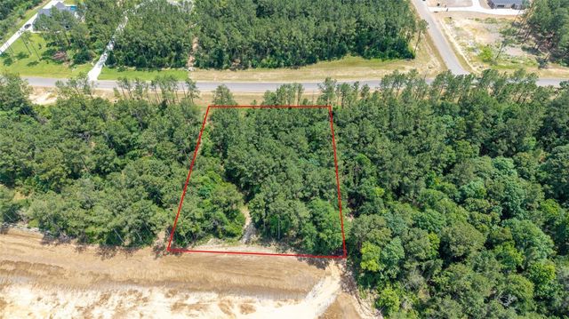 15981 Four Hills Road, Willis, TX 77378