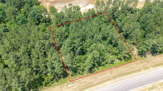 15981 Four Hills Road, Willis, TX 77378