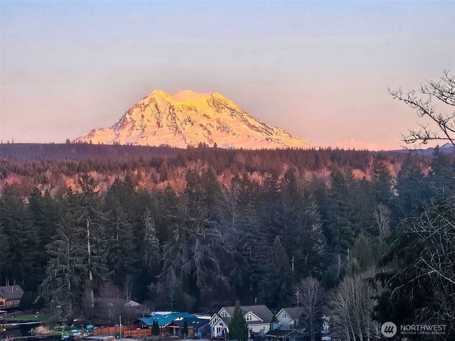 32419 129th Avenue E, Graham, WA 98338