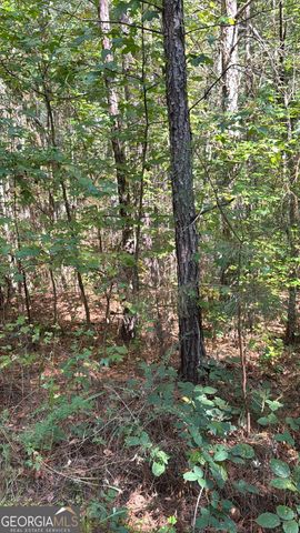 230 Dodgen Road, Hampton, GA 30228