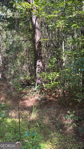 230 Dodgen Road, Hampton, GA 30228
