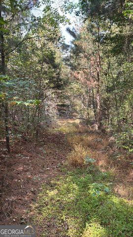 230 Dodgen Road, Hampton, GA 30228