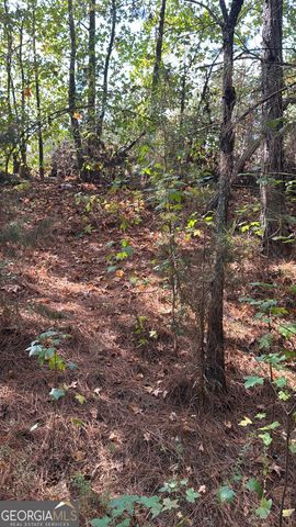 230 Dodgen Road, Hampton, GA 30228