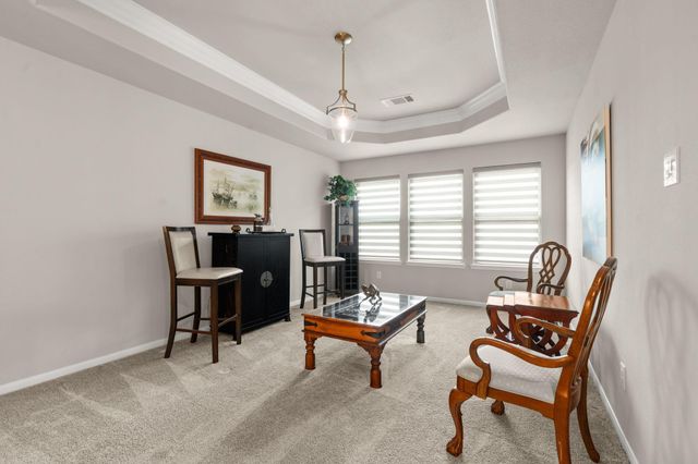 18 Trailing Lantana Place, The Woodlands, TX 77354