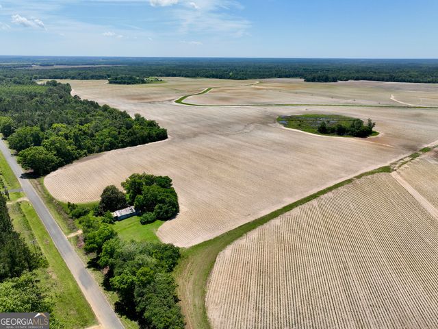 177 Fourteen Lane Road, Hawkinsville, GA 31036