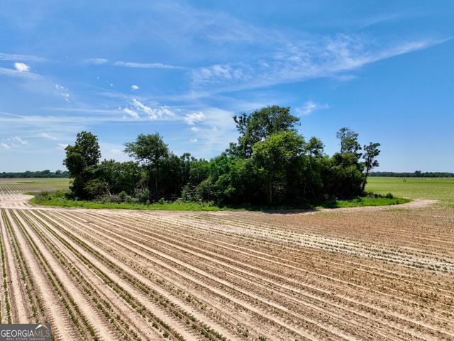 177 Fourteen Lane Road, Hawkinsville, GA 31036
