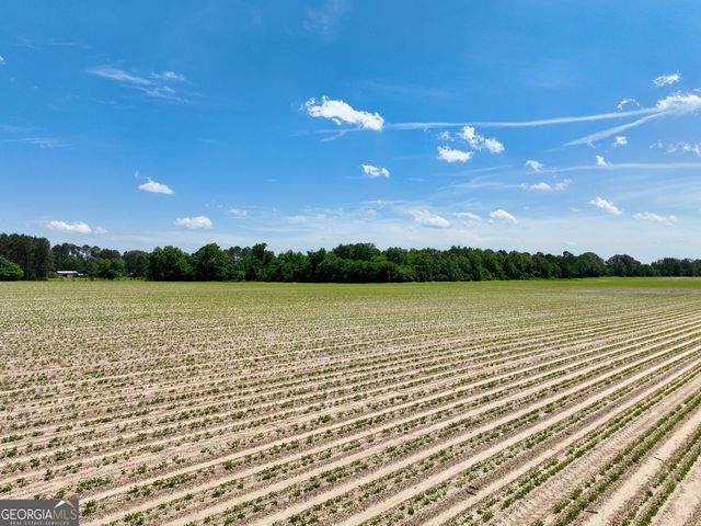 177 Fourteen Lane Road, Hawkinsville, GA 31036