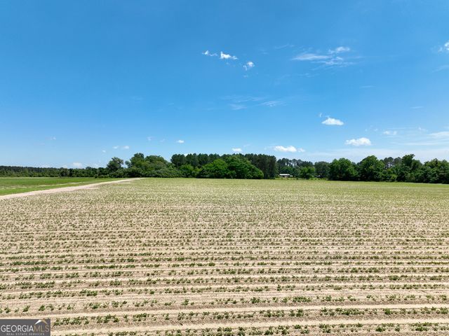 177 Fourteen Lane Road, Hawkinsville, GA 31036