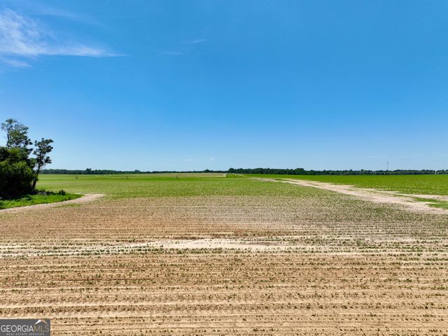 177 Fourteen Lane Road, Hawkinsville, GA 31036