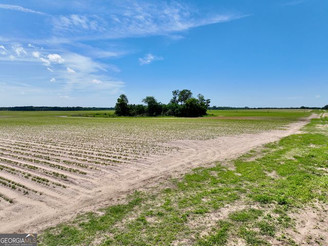 177 Fourteen Lane Road, Hawkinsville, GA 31036