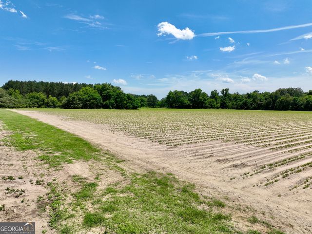177 Fourteen Lane Road, Hawkinsville, GA 31036